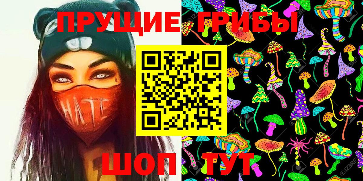 Галлюциногенные грибы GOLDEN TEACHER  Вход с VPN  Георгиевск 